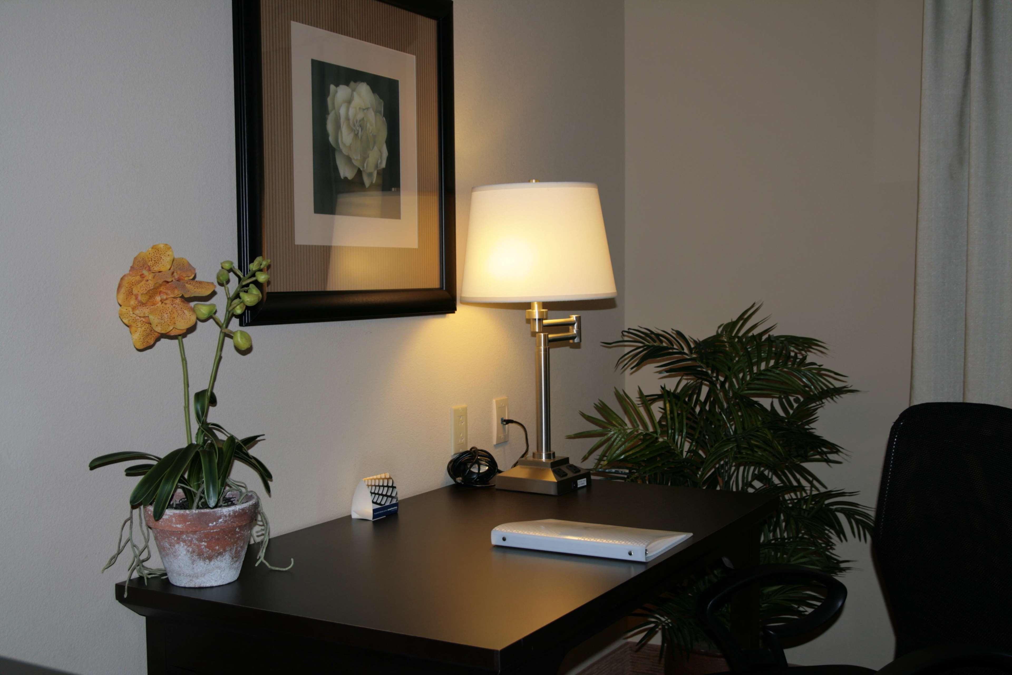 Hampton Inn & Suites Austin Cedar Park-Lakeline Pokój zdjęcie